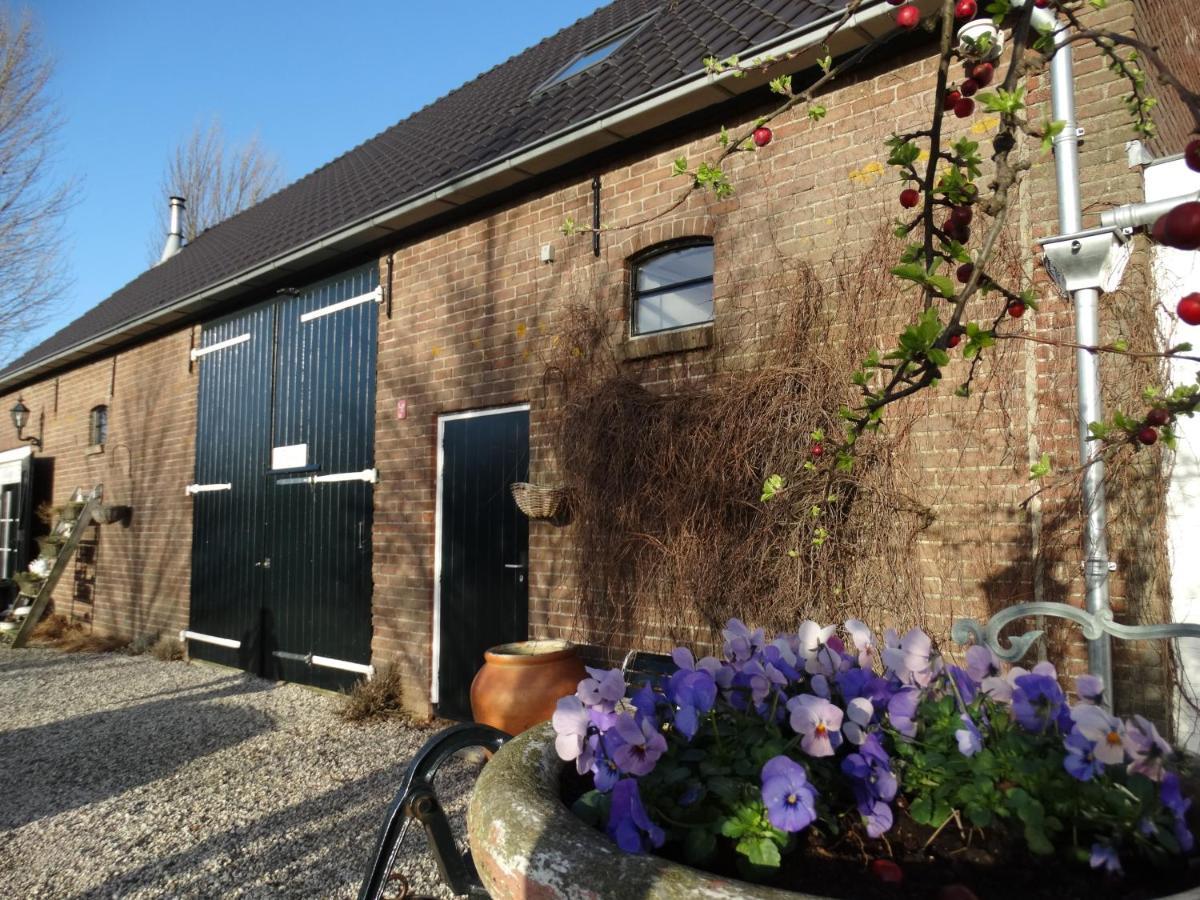B & B 'Droom In De Polder De Suite Met Prive Sauna Arnemuiden Exterior photo